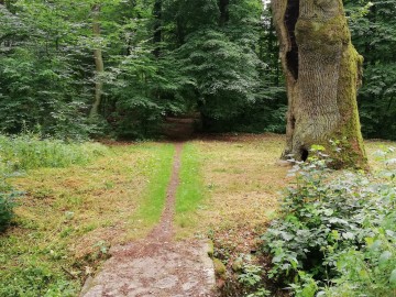 koszenie_laki_w_byszewach_2019  3, 